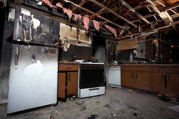 Affordable Fire Damage Removal solutions in Palmyra, WI